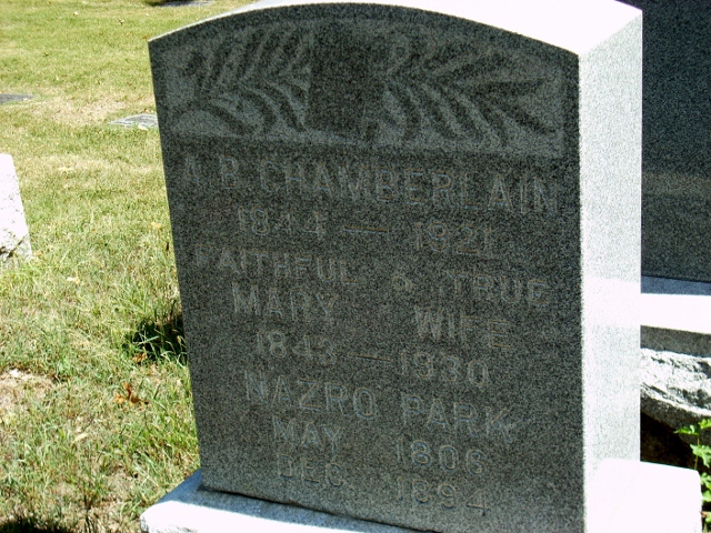 gravestones\CHAMBERLAIN Albert Barnes d1921
