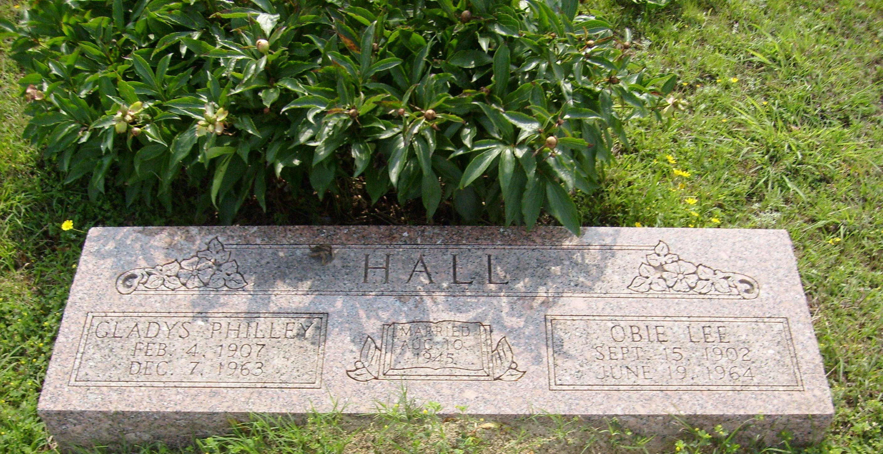 gravestones\HALL Obie Lee d1964