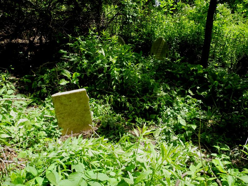 gravestones\PORTER Rosanna d1828