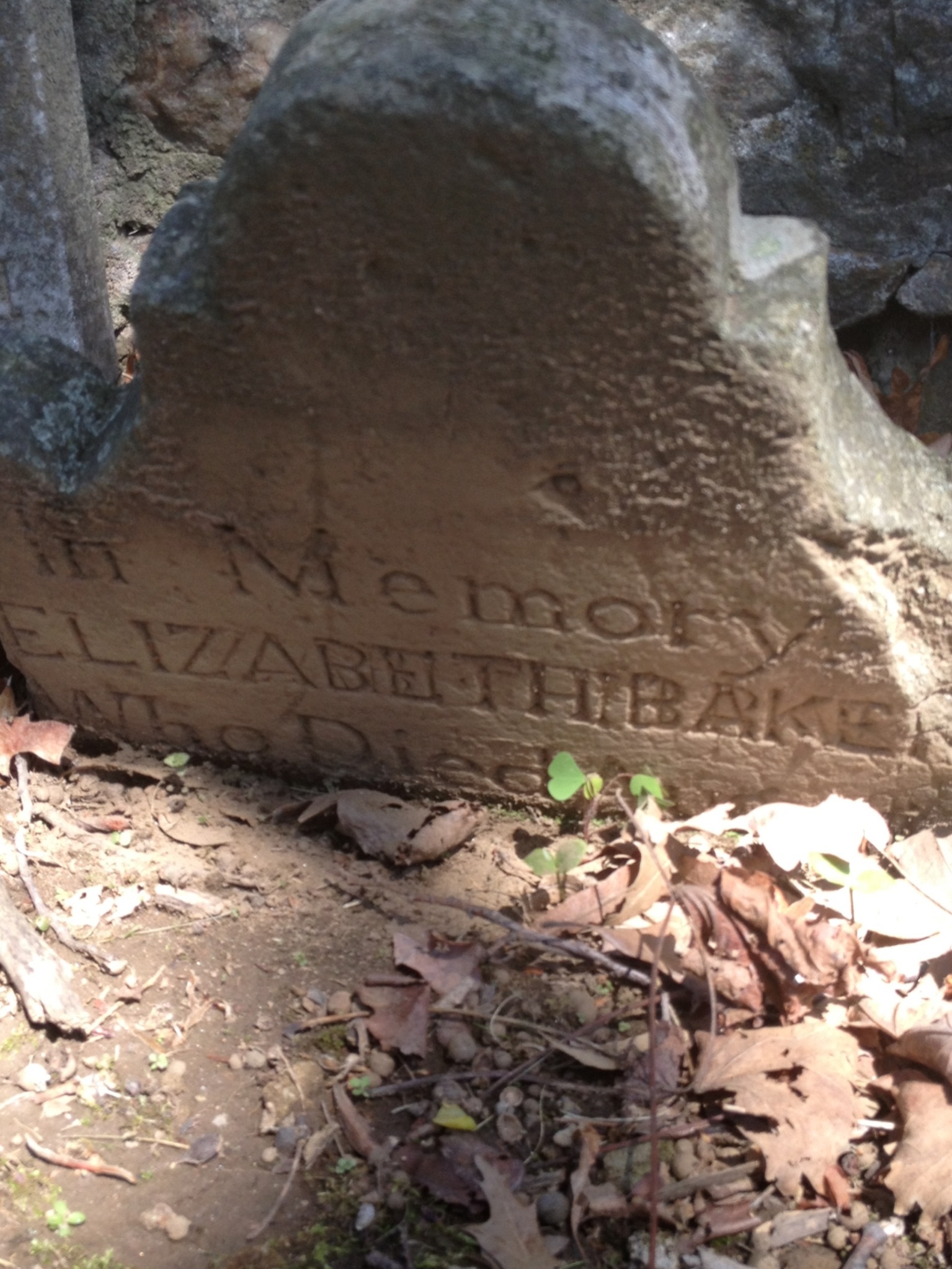 gravestones\SLADE Elizabeth d1780