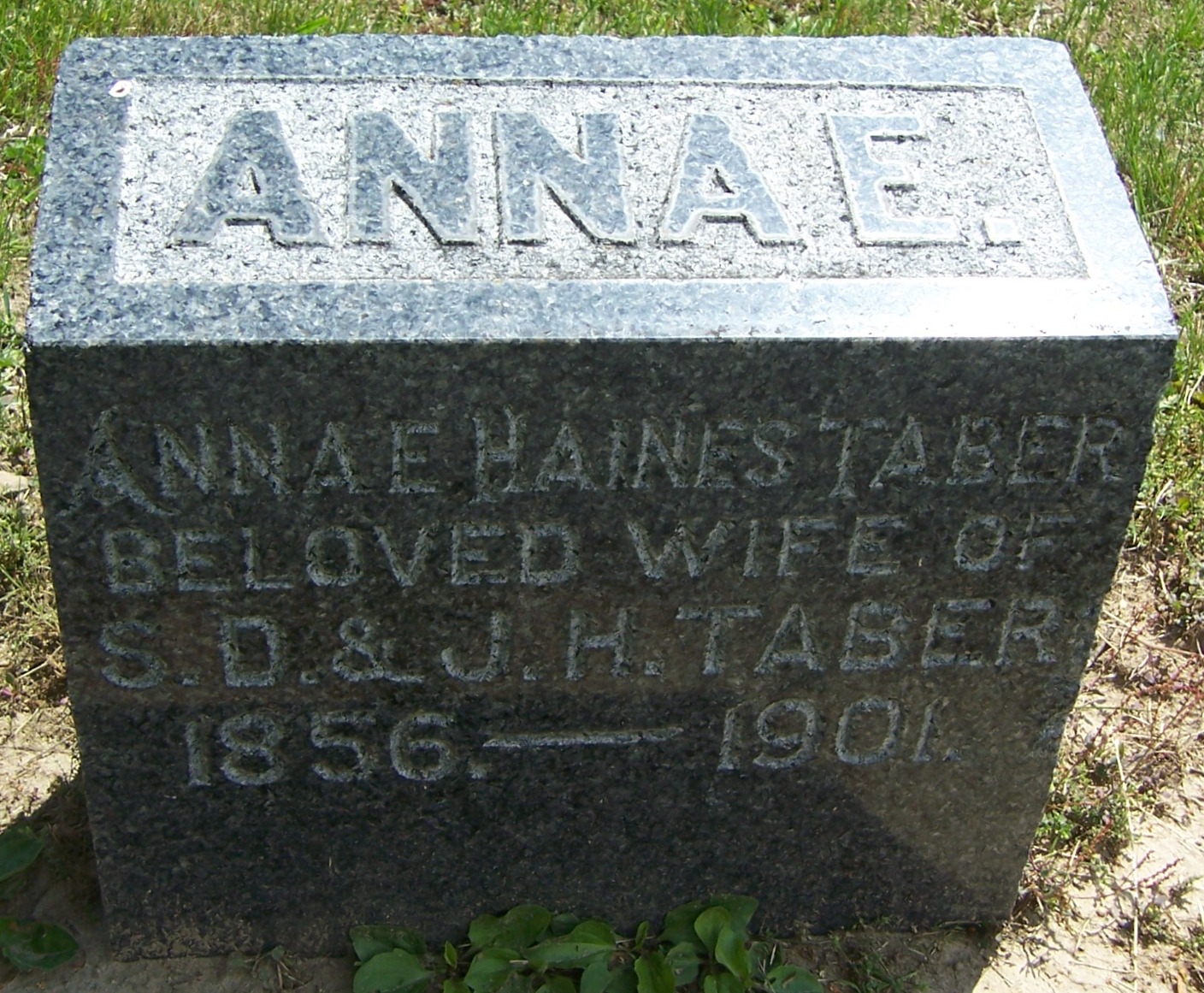 gravestones\TABER Anna Elizabeth d1901