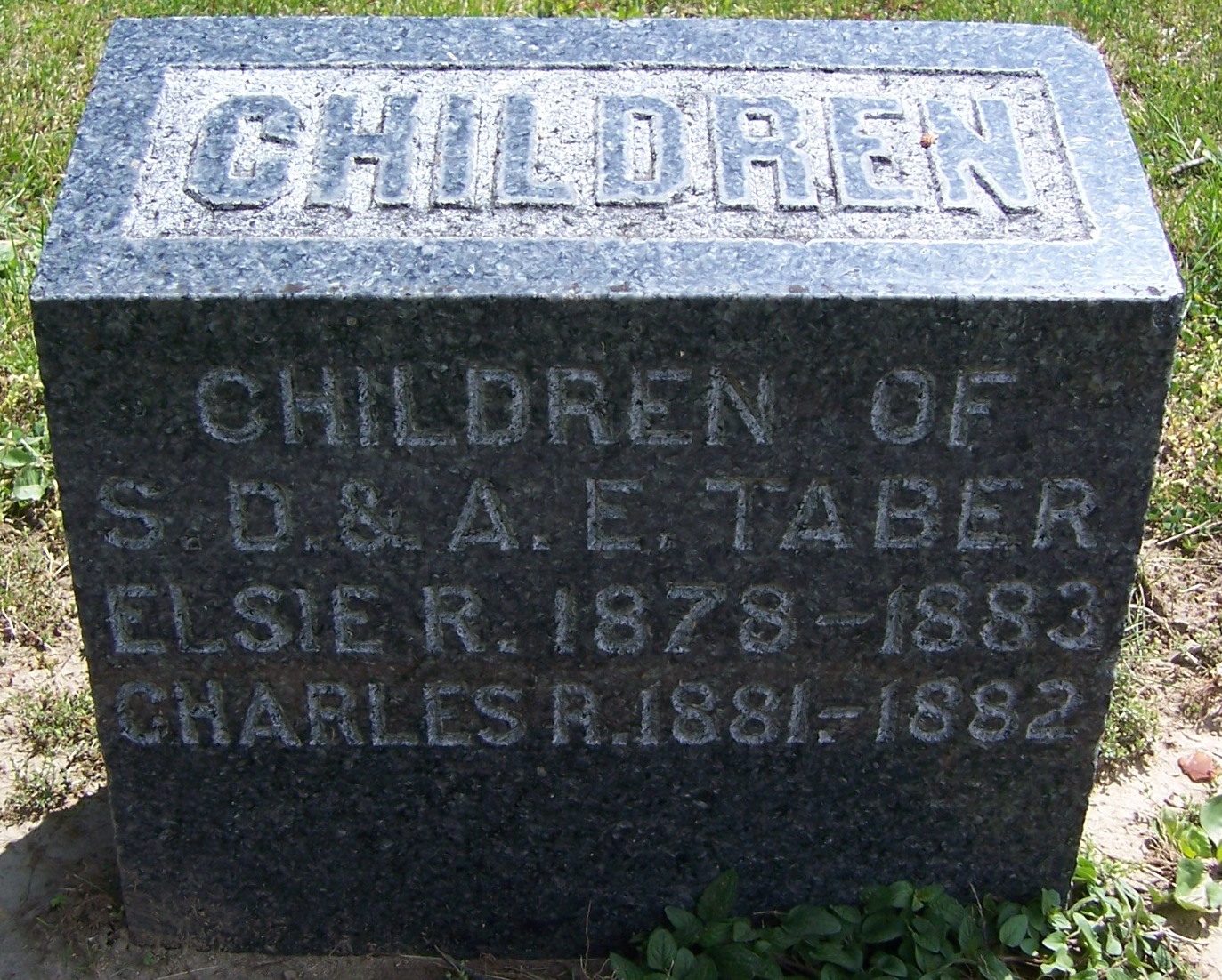 gravestones\TABER Elsie Rosetta d1883