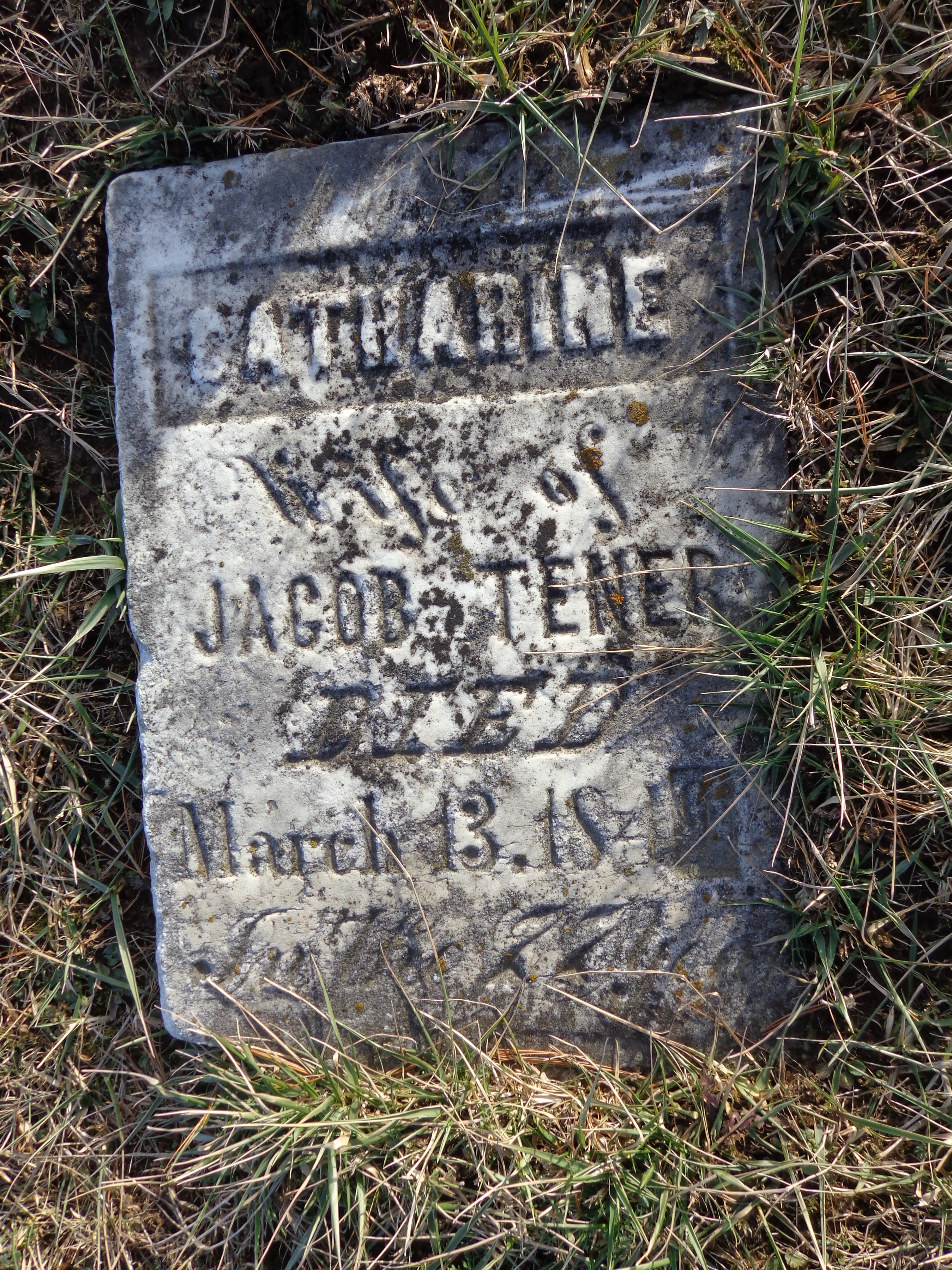 gravestones\TENER Catherine d1849