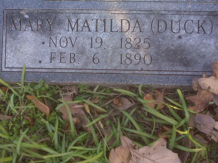 gravestones\WILLIAMSON Mary Matilda d1890