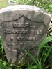 HILL Johnson d1876